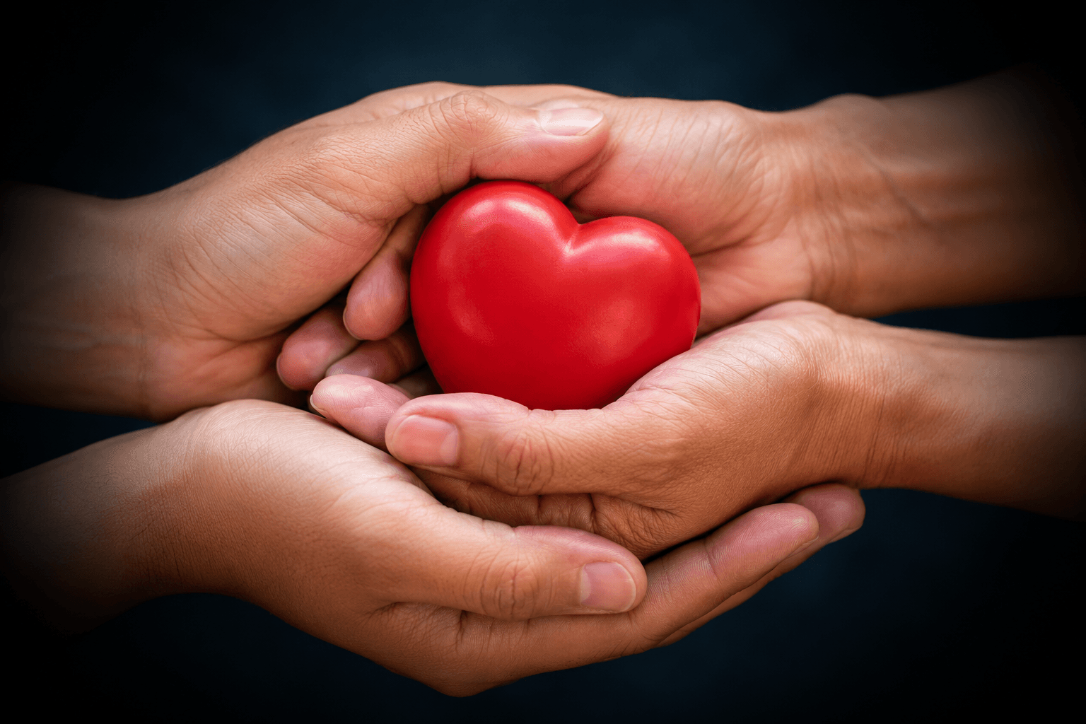 Hands holding red heart - Netrikin Foundation