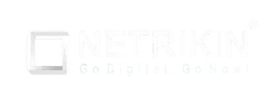 Netrikin Digital Solutions Logo